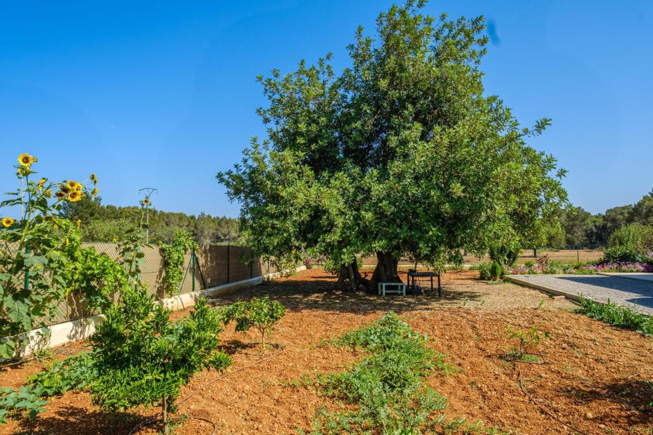 Vila Casa Cristina Ibiza Sant Carles de Peralta Exteriér fotografie